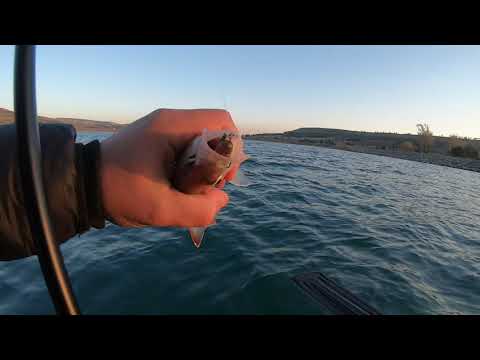 Fishing on the tbilisi sea / სპინინგით თევზაობა თბილისის ზღვაზე # 3